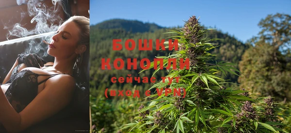 мдпв Липки