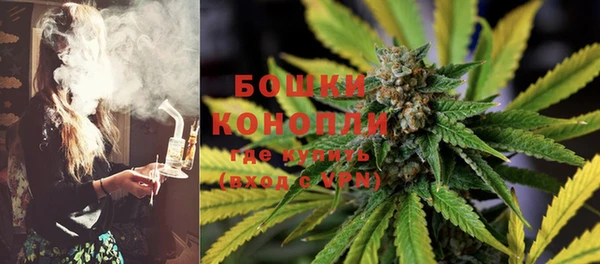 мдпв Липки
